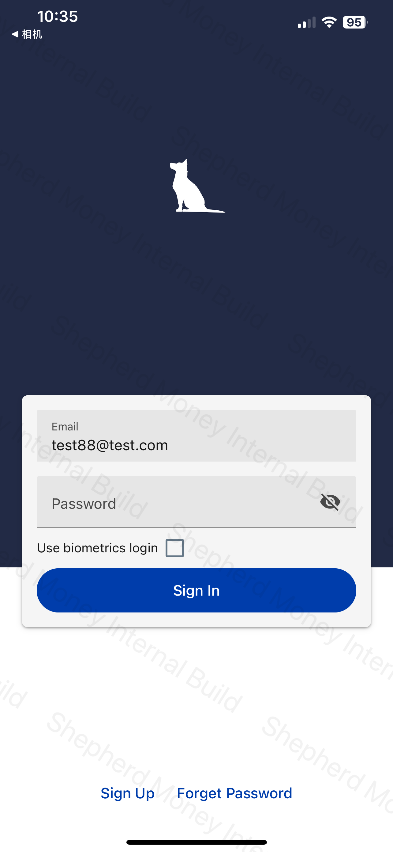 Original Copilot login screen